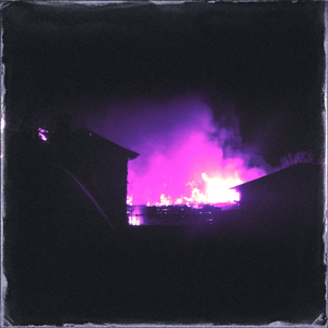 中国十八九日逼
